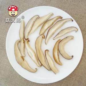 ��̫�� 3mm��ˮ�㹽˿ ���� ���ڶ��� �㹽˿ SC��֤ �����̼�