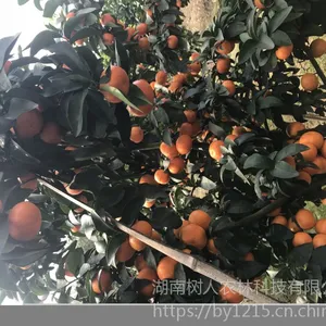 �����޺�ɳ�ǽ���۸��������ɳ�ǽ�����/����/����/��ɳ�ǽ�Ʒ��ɳ�ǽ���۸������������ɳ�ǽ�����/