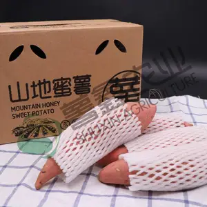 烟薯25号,山东烟薯25,烟薯25价格