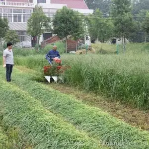 �����ո������ר�ø�ɹ������������ɹ������