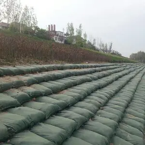 ��̬�����̴� 80���ֳ� �ӵ̷�����ɫ���� ��ά��ֲ����