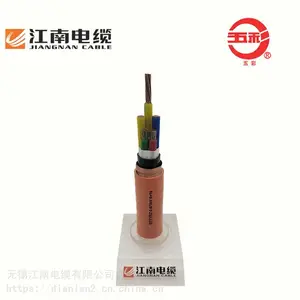 江南电缆 厂家防火电缆系列 BTLY（NG-A）450/750V 4*95*+1*50