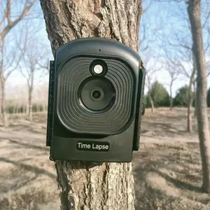 ֲ���ʵ����Զ��������ƿ��õĺ������