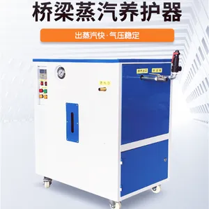 气压稳定智能锅炉电加热蒸汽发生混凝土机桥梁养护器