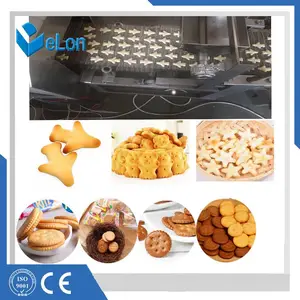 600型饼干生产线 各种口味卡通图案饼干烤箱 饼干成型机