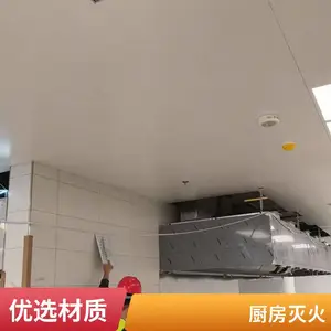 单瓶组CMJS-2灶台厨房灭火酒店厨房灭火欧盟标准安素
