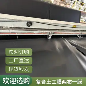 河道防渗土工膜 0.75mm防渗膜 渠道河道防渗施工厂家