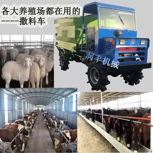 ţ�����ϳ� ���߳����ǲ����ϳ� ���