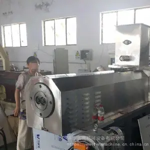热门膨化蜂蜜果仁麦圈机械 冰激凌伴侣即食豌豆谷物圈设备