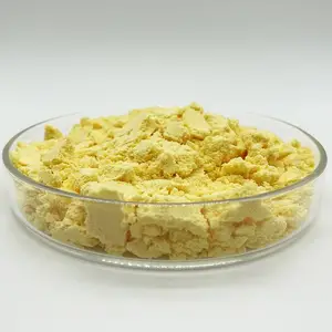���Ʒ� �����Ʒ۳��� 