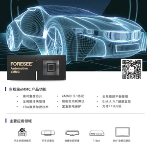 FEMDNN128G-A3N11/FEMDNN064G-C9A61/FEMDNNO32G-A3A55/江波龙存储IC/eMMC内存芯片