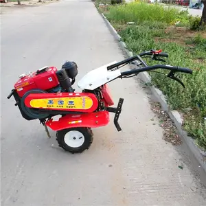 ��ƺר�����ͳ��������� С�͹�԰���������� ����;������¢��