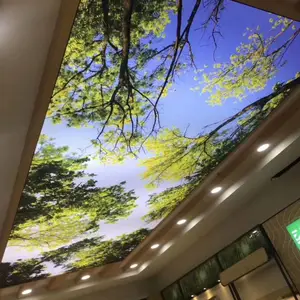 UV软膜透光膜安装