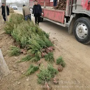 �̻������� ������������ ��Ĺ��·������۸�