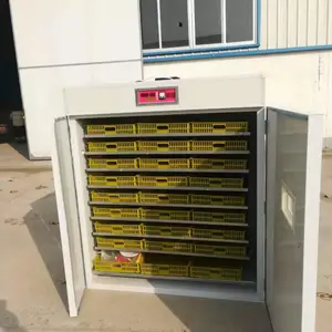 供应zn-1232syj全自动中小型家用智能大型孵化机