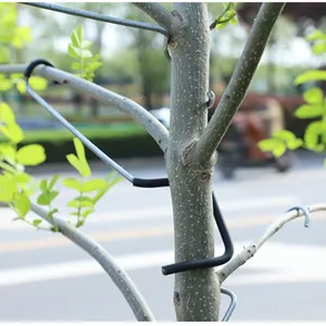 果树拉枝器 苗木拉枝器 园林工具 带胶套 改进型