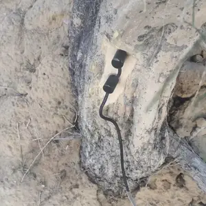 ���ɾ������ϵͳ DF-ZJL ���� ���� ��ľ�� �����κ� 4G���� ����ʽ/����ʽ