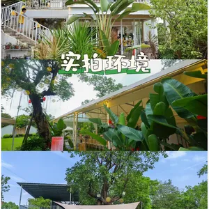 佛山薇媚花园|一站式团建·聚会一日游,让团队“玩”在一起,心聚在一起