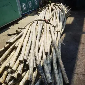 �Ͼ����� �������»��� ��оͭ�� ����*** ���ߵ绰Ǣ̸