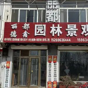 青州市丽都花卉苗木有限公司