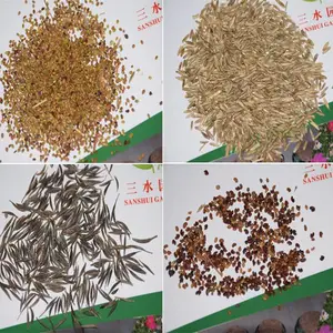 广东惠州市高速护坡绿化草籽***折扣