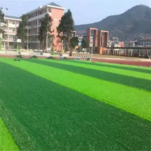 ���� ��ʽ����� 5�����˶��� �ʺ��ܵ�