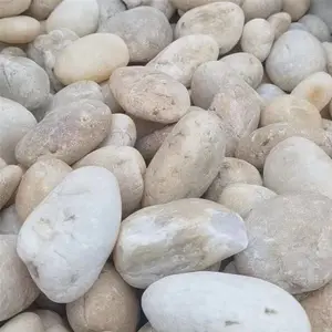供应白色鹅卵石 水洗机制石 园林造景 工程铺路石