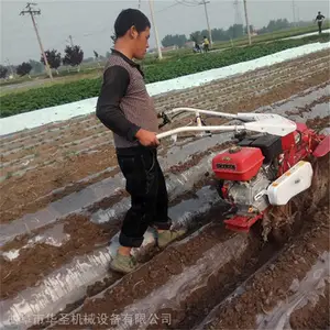 �ֵع���ͷ������¢�� ��з⽪������ ����ֱ��