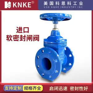 进口软密封闸阀 可选电动气动 不锈钢材质 美国KNKE科恩科品牌