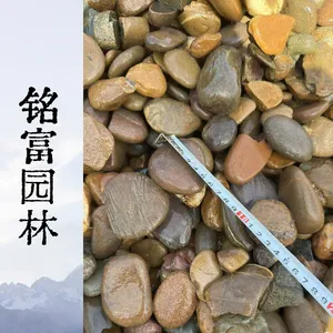 3-5公分鹅卵石 庭院铺路滤料原石，深 圳3-5公分鹅卵石批发基地
