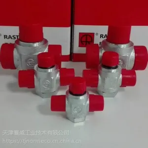 雷斯特利TN136GG双向铰接式接头带ED圈液压接头管路连接件
