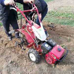 ��������������΢���� �߲˴������΢���� 7.5��������������