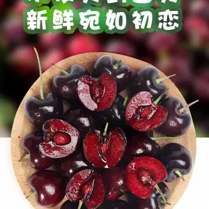 ���ɹŰ����׶�-����ӣ��������������ӭʵ�ؿ���