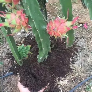 云南德宏州有机肥厂家直销玉溪千益有机肥生物菌发酵禽畜粪便有机肥蚯蚓粪有机肥