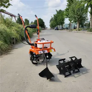 �¿�����ع�԰������ ����������ʽ΢���� �ַ��е