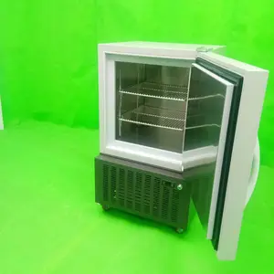 ��ѩDW-40L105 -40����ʽʵ���ҵ��±��� ���»���ʵ���豸