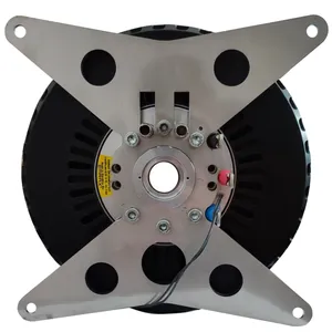 EMRAX�߹��������ͨ����ͬ���綯�����մ���ǣ��228268348