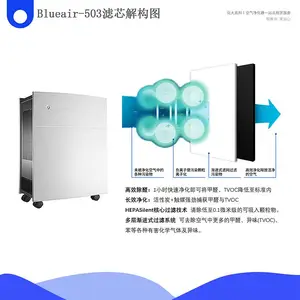�������������޲�³�Ŷ�Blueair503����ȩ�������������������