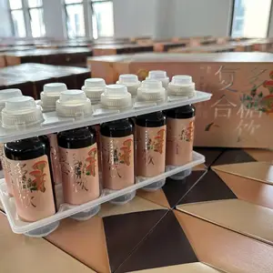 丸东环保PP托盘（盖+底）