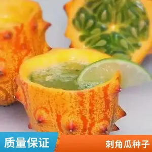 ��ι����� ���޴̽ǹ����� �̽ǹ��Ѻ��ι���ɫˮ����