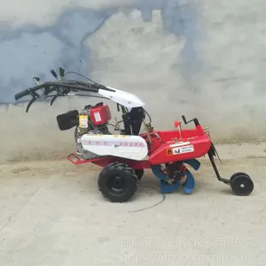 �ַ���������������-����΢��������-��������������԰������