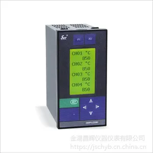 �����Ǳ�SWP-LCD-MS806-02-23-N��ͨ��Ѳ�������