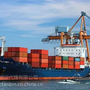 布里斯班海运-福建澳洲海运东西多少天可以到