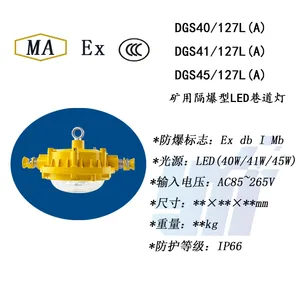 DGS48/127L(A)矿用隔爆型LED巷道灯