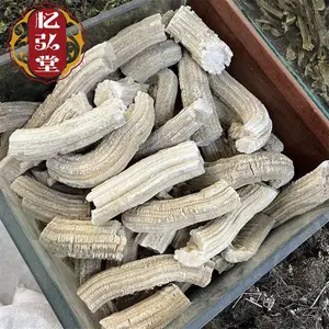 �������տ�������ҩ�� �������������� ��֤���䱳ҩ��