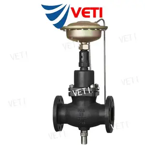 VETI�������Ͻ�������ʽ�������ڷ�(���Ʒ�) �����ȶ� �Լ۱ȸ�