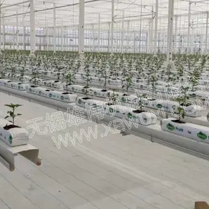新型荷兰模式立体种植槽栽培槽设备,草莓种植槽机器,无锡雄博机械