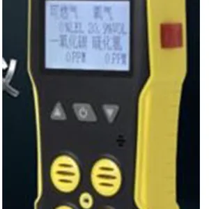 便携式二合一气体检测仪(H2S CH4) 型号BS12-BH-4 库号M393565