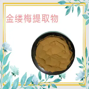金缕梅提取物 金缕梅浸膏粉 浸膏 全水溶 多种规格