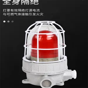 防爆声光报警器110分贝IP65化工厂220V/24V防爆闪烁警示灯